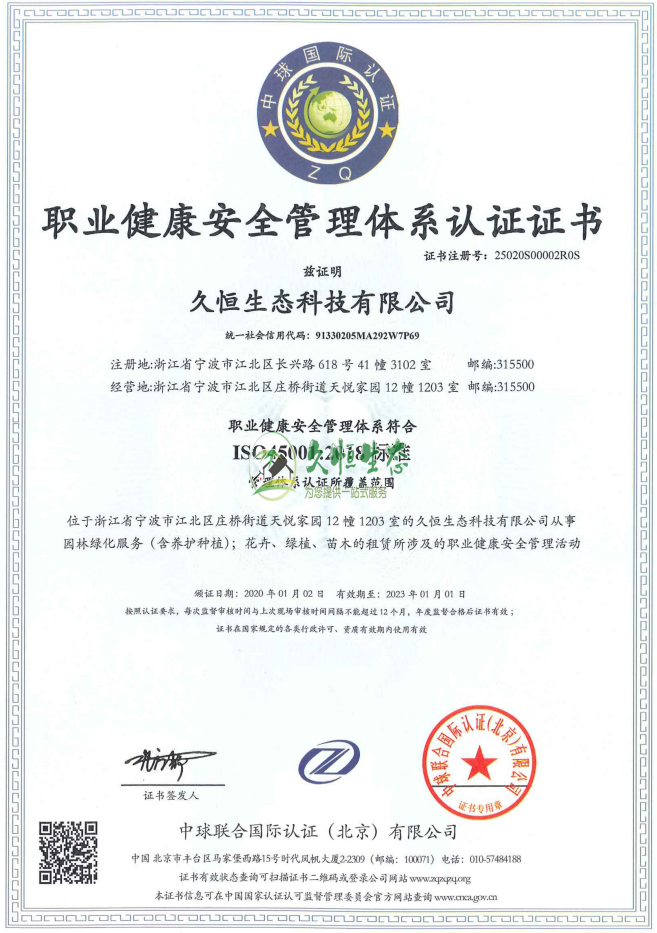 合肥新站职业健康安全管理体系ISO45001证书
